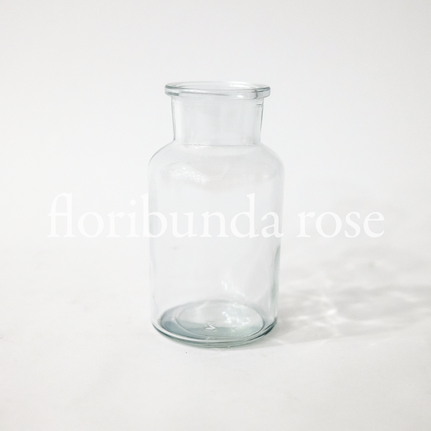 Glass Bud Vase/Bottle Vase