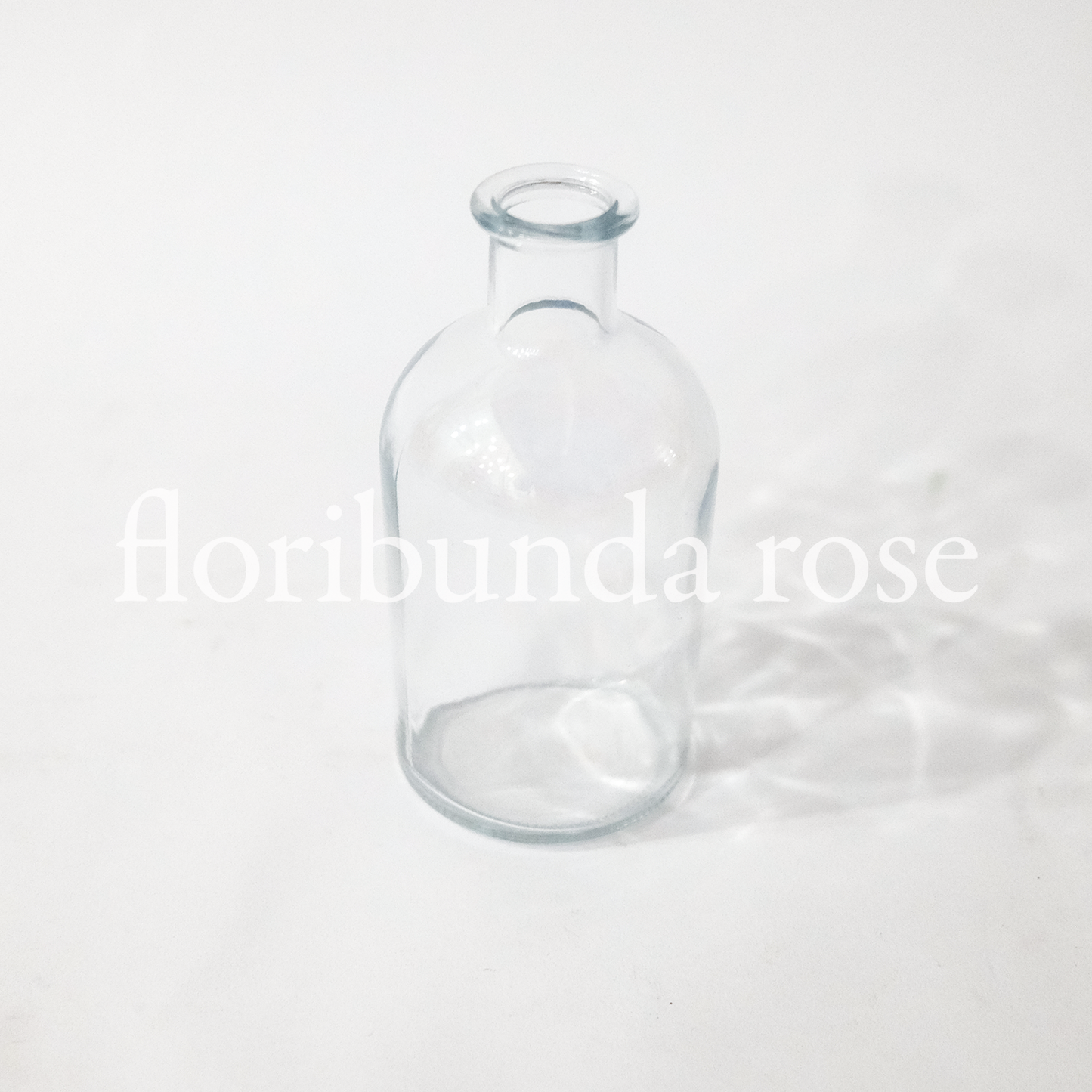 Glass Bud Vase/Bottle Vase
