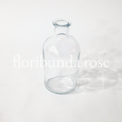 Glass Bud Vase/Bottle Vase