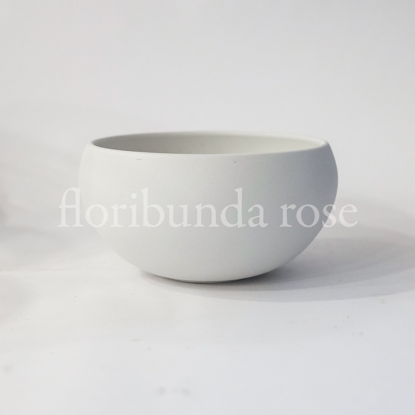 Large White Ceramic Bowl