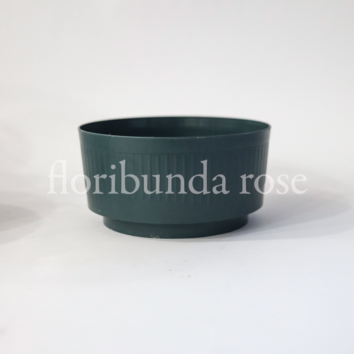 Large Bowl Liner