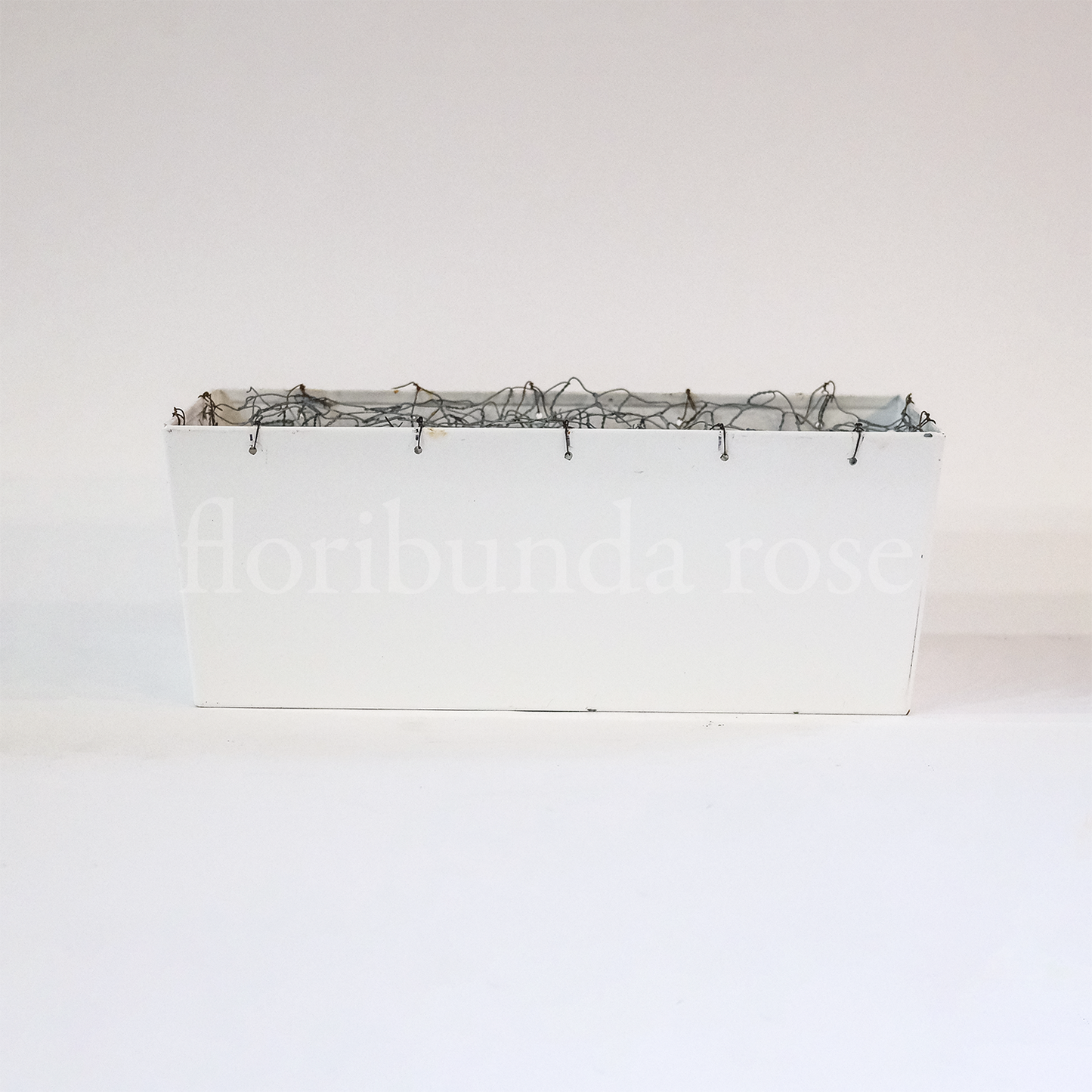 Meadow Box