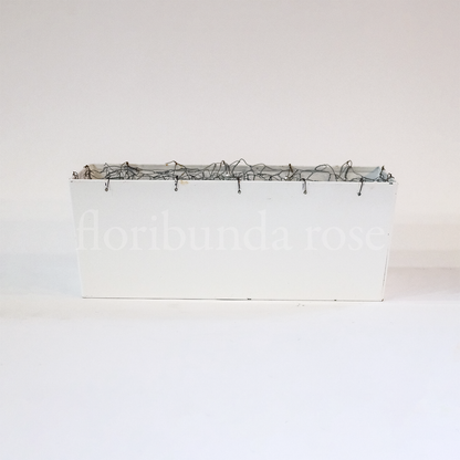Meadow Box