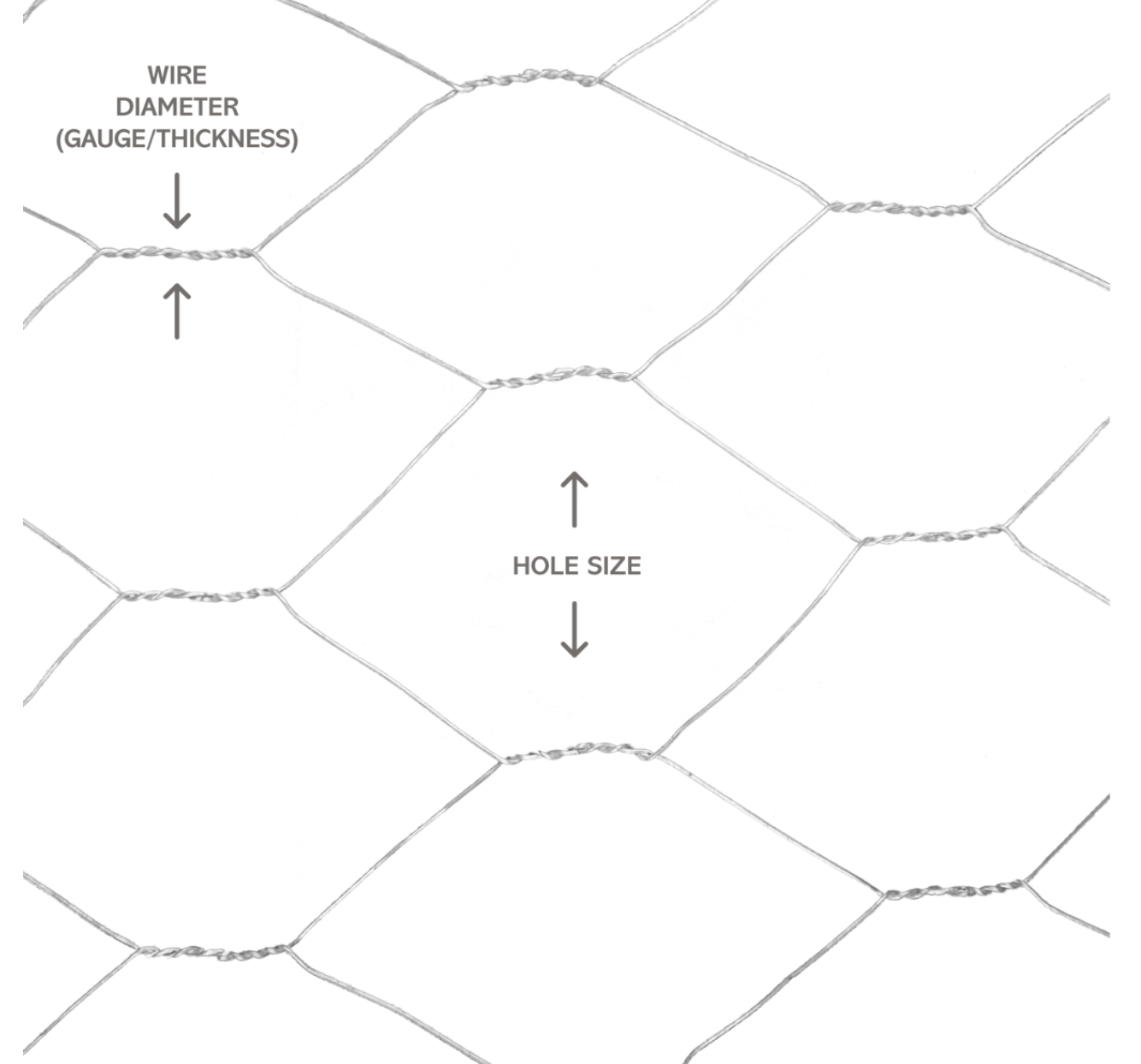 Chicken Wire available to purchase by the metre - for collection only
